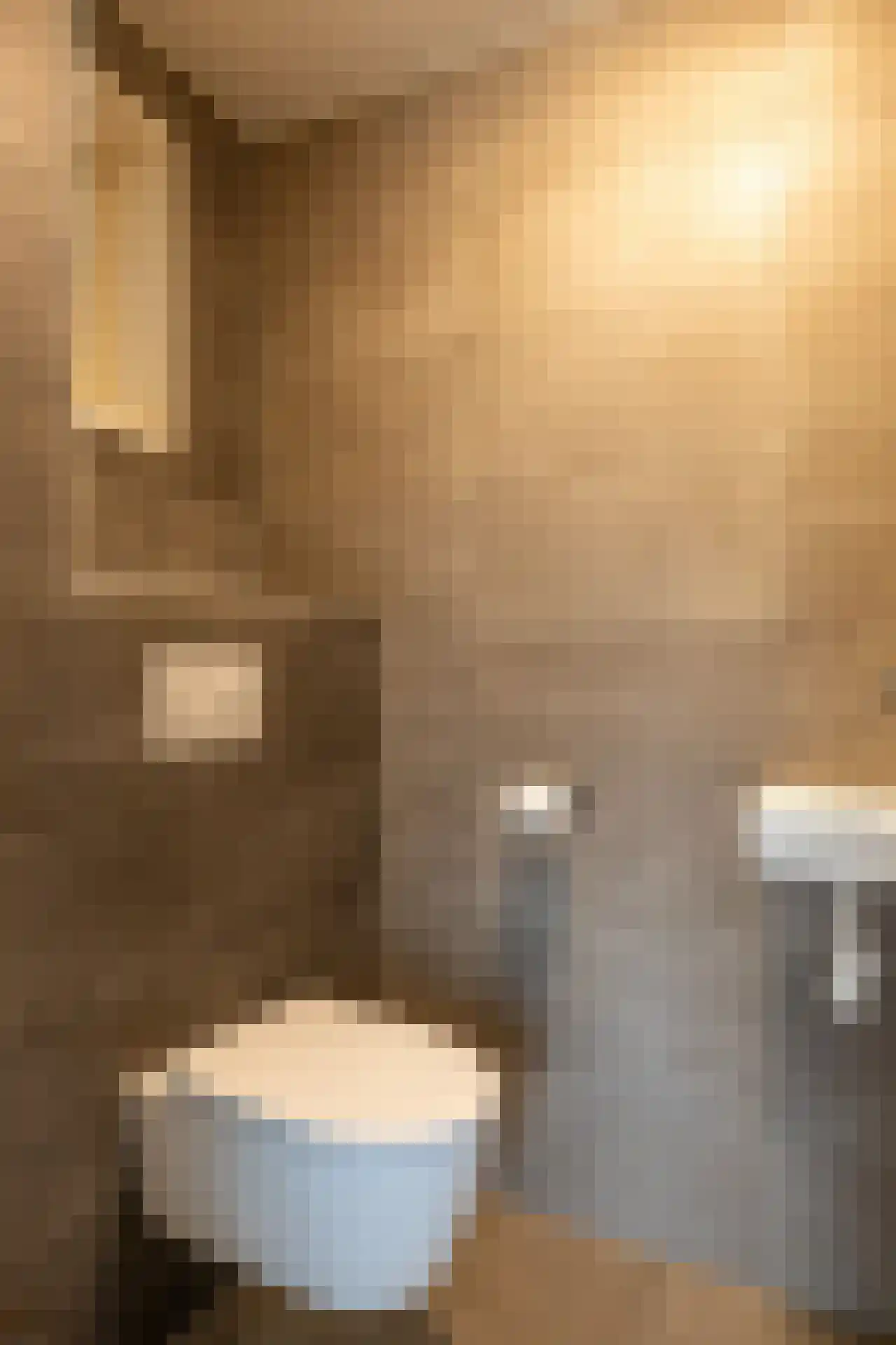 Toxopeuswei 1 Eanjum thumbnail 17