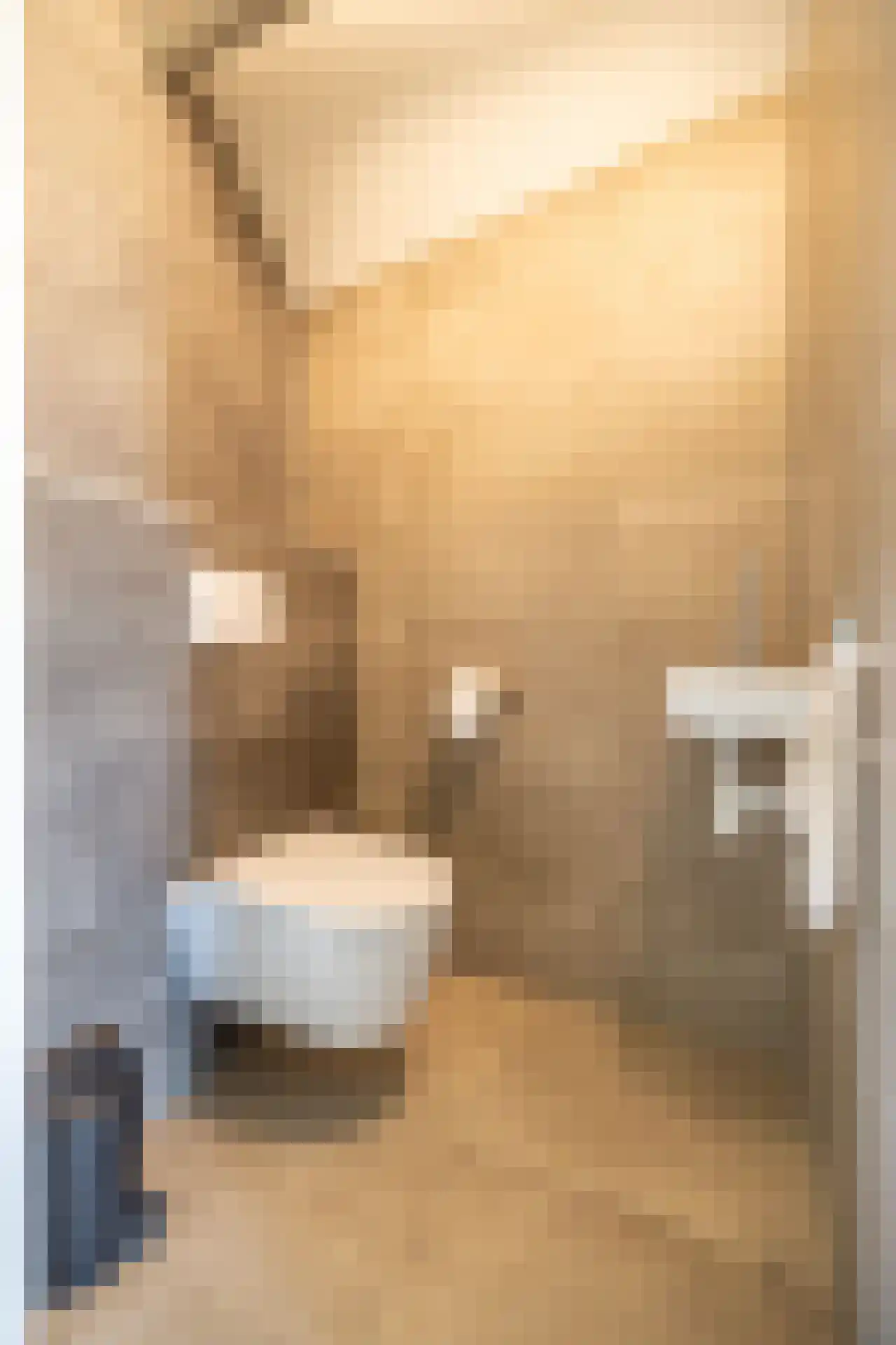 Toxopeuswei 1 Eanjum thumbnail 38