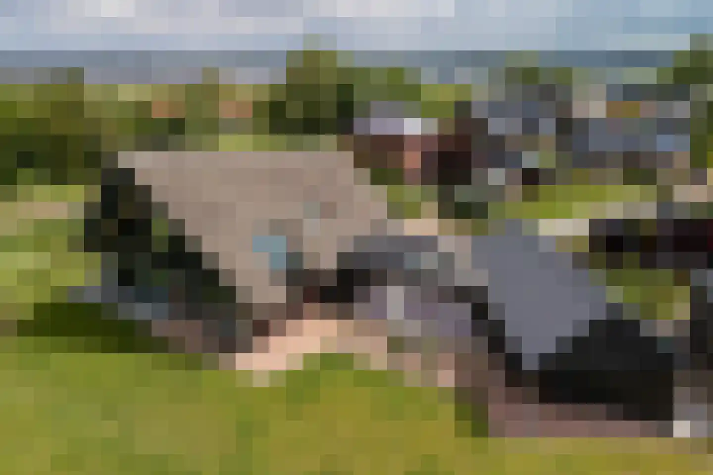 Toxopeuswei 1 Eanjum thumbnail 50