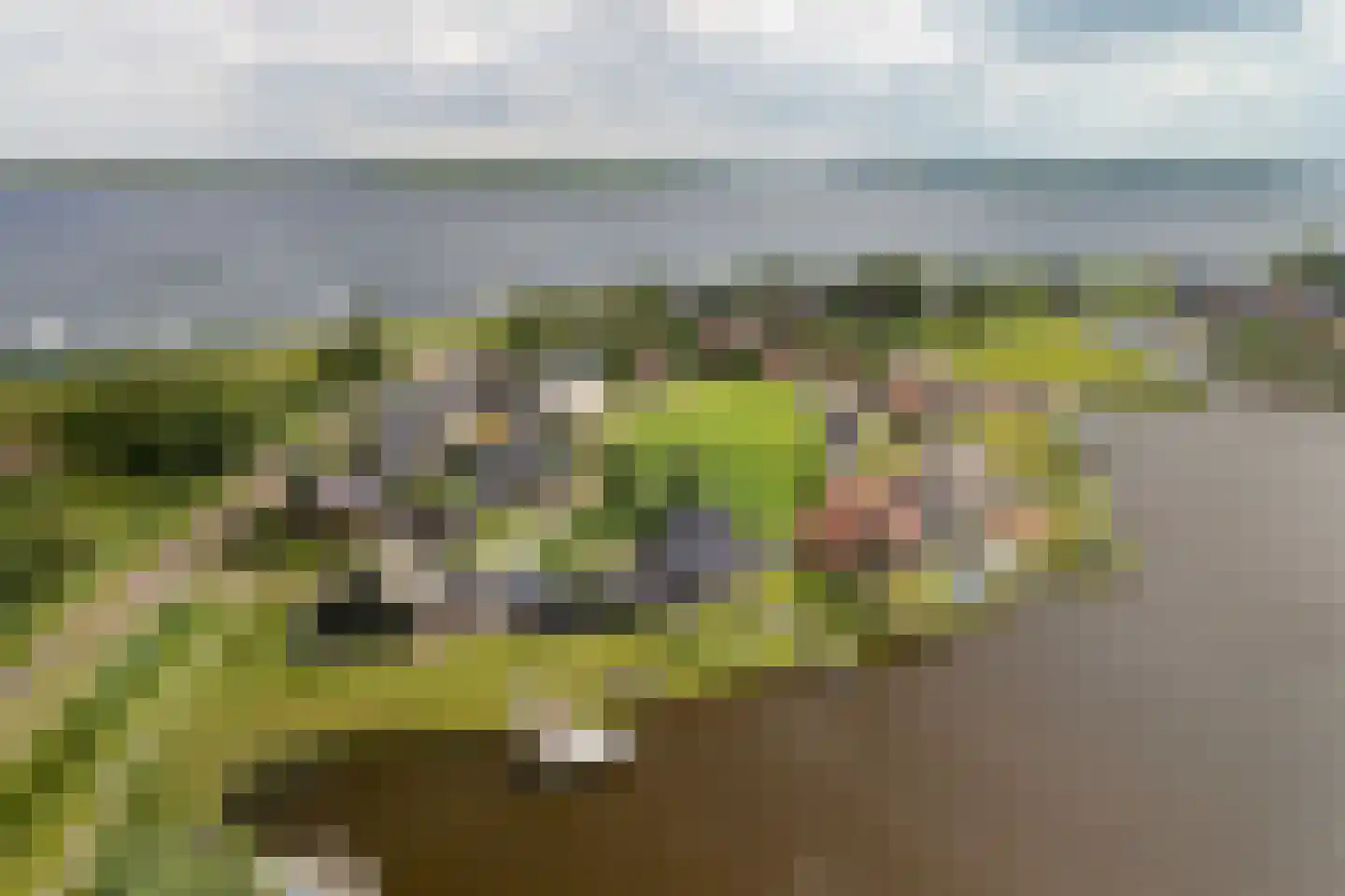 Toxopeuswei 1 Eanjum thumbnail 53