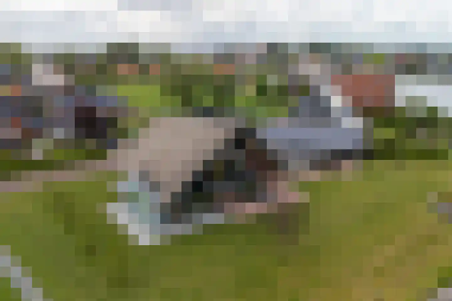 Toxopeuswei 1 Eanjum thumbnail 6
