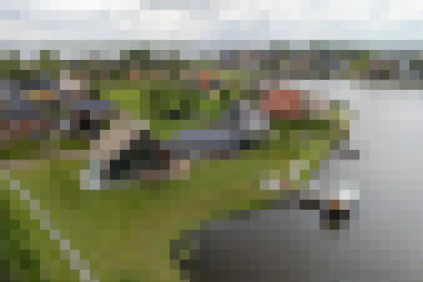 Toxopeuswei 1 Eanjum thumbnail 7