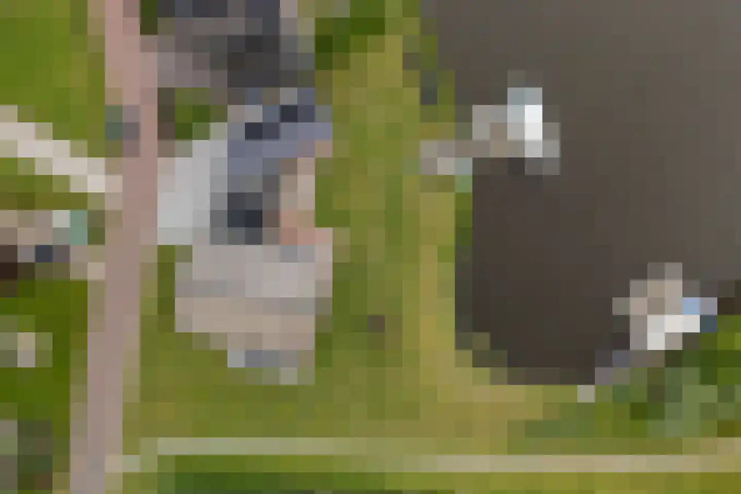 Toxopeuswei 1 Eanjum thumbnail 8