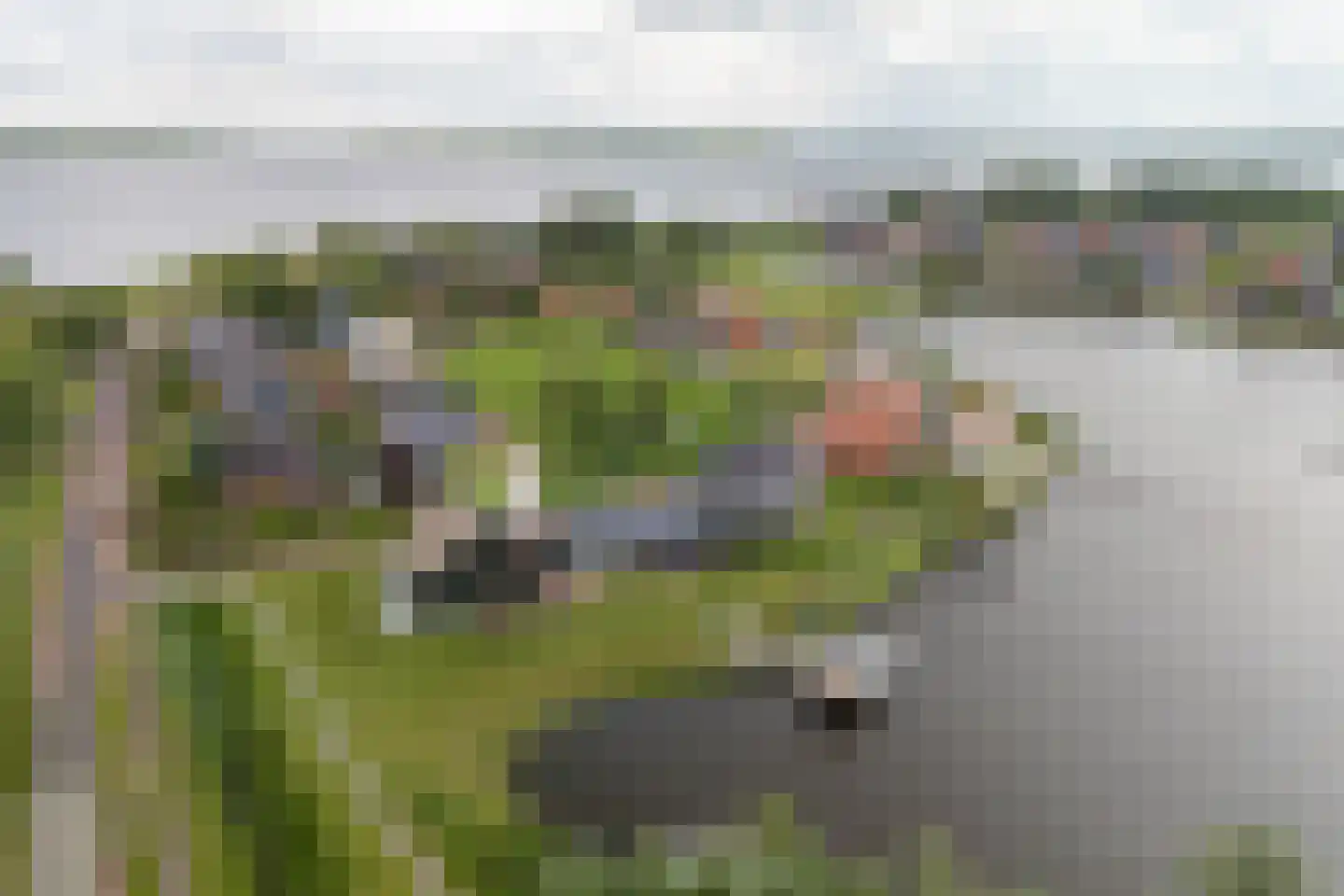 Toxopeuswei 1 Eanjum thumbnail 9