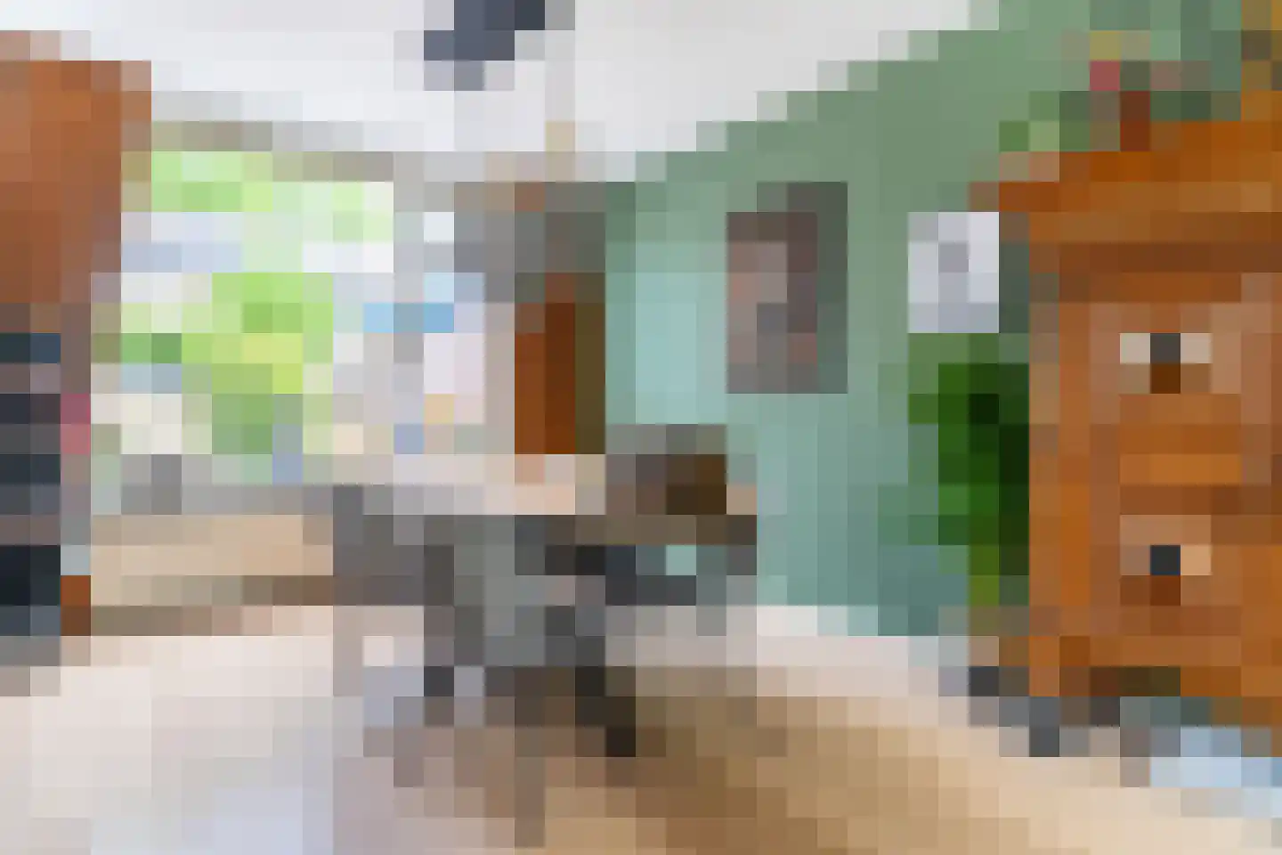 Tra 18 't Harde thumbnail 13