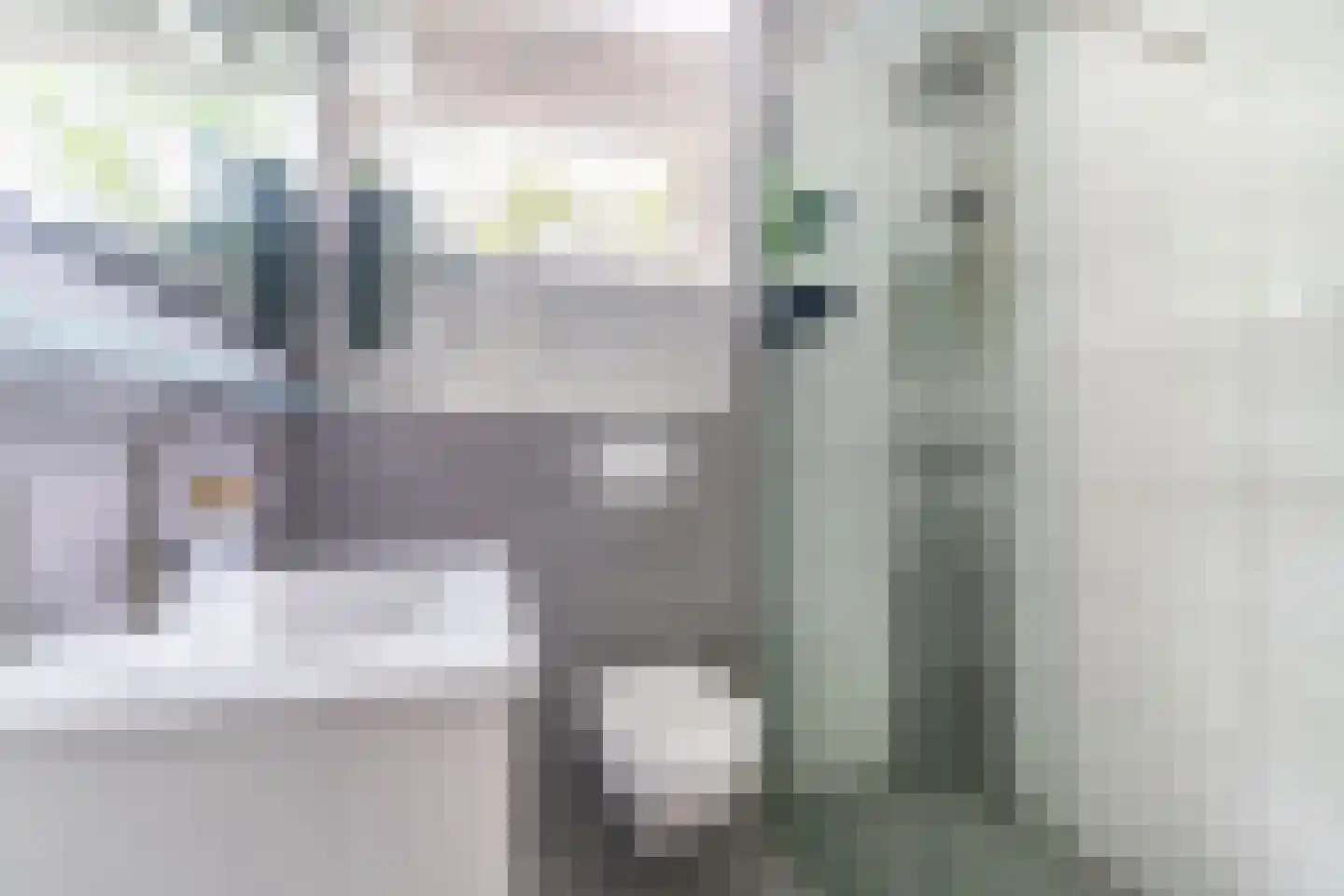 Tra 18 't Harde thumbnail 23