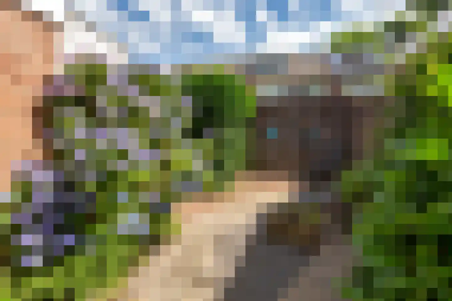 Tra 26 't Harde thumbnail 39