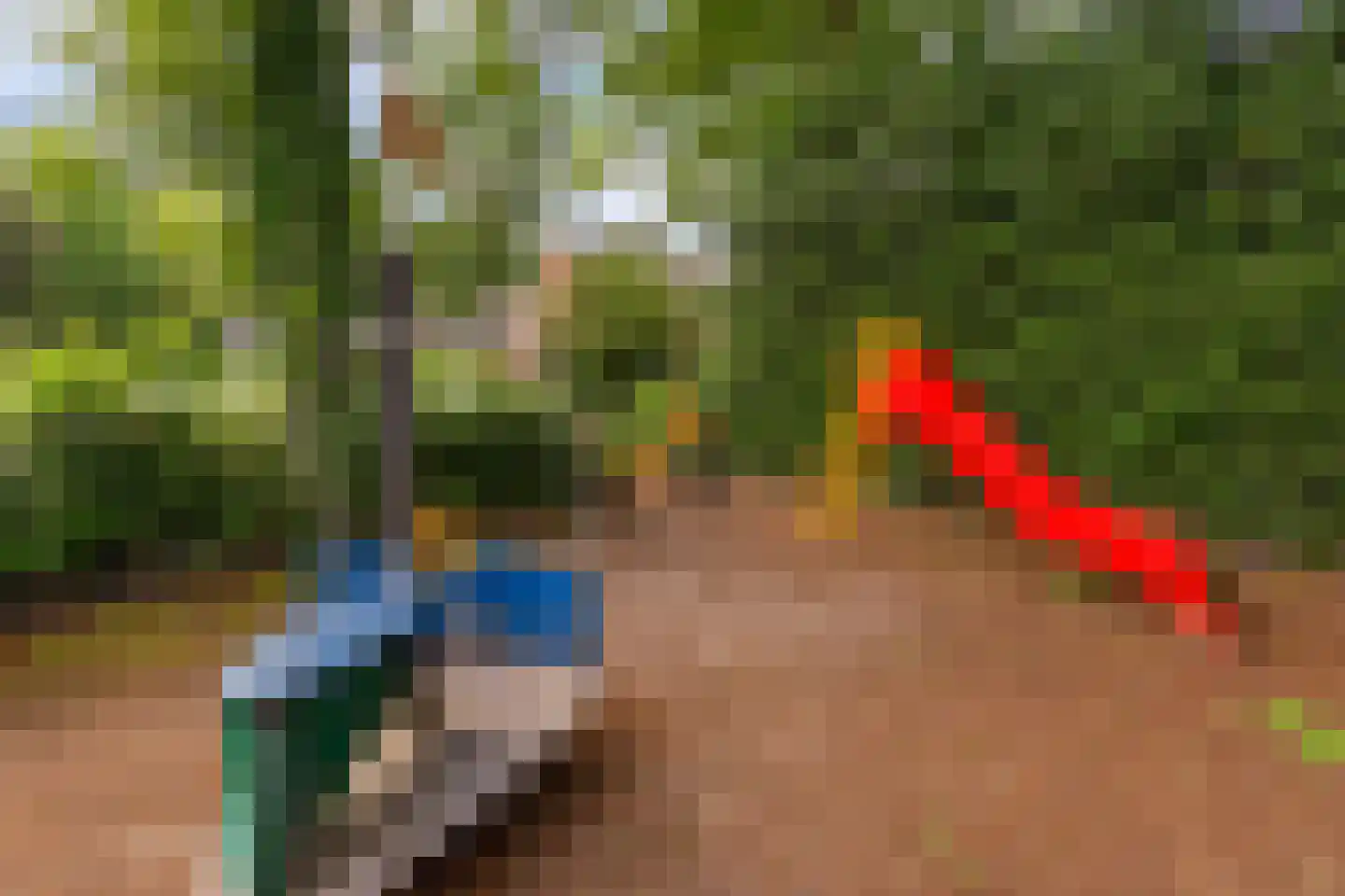Tra 26 't Harde thumbnail 55