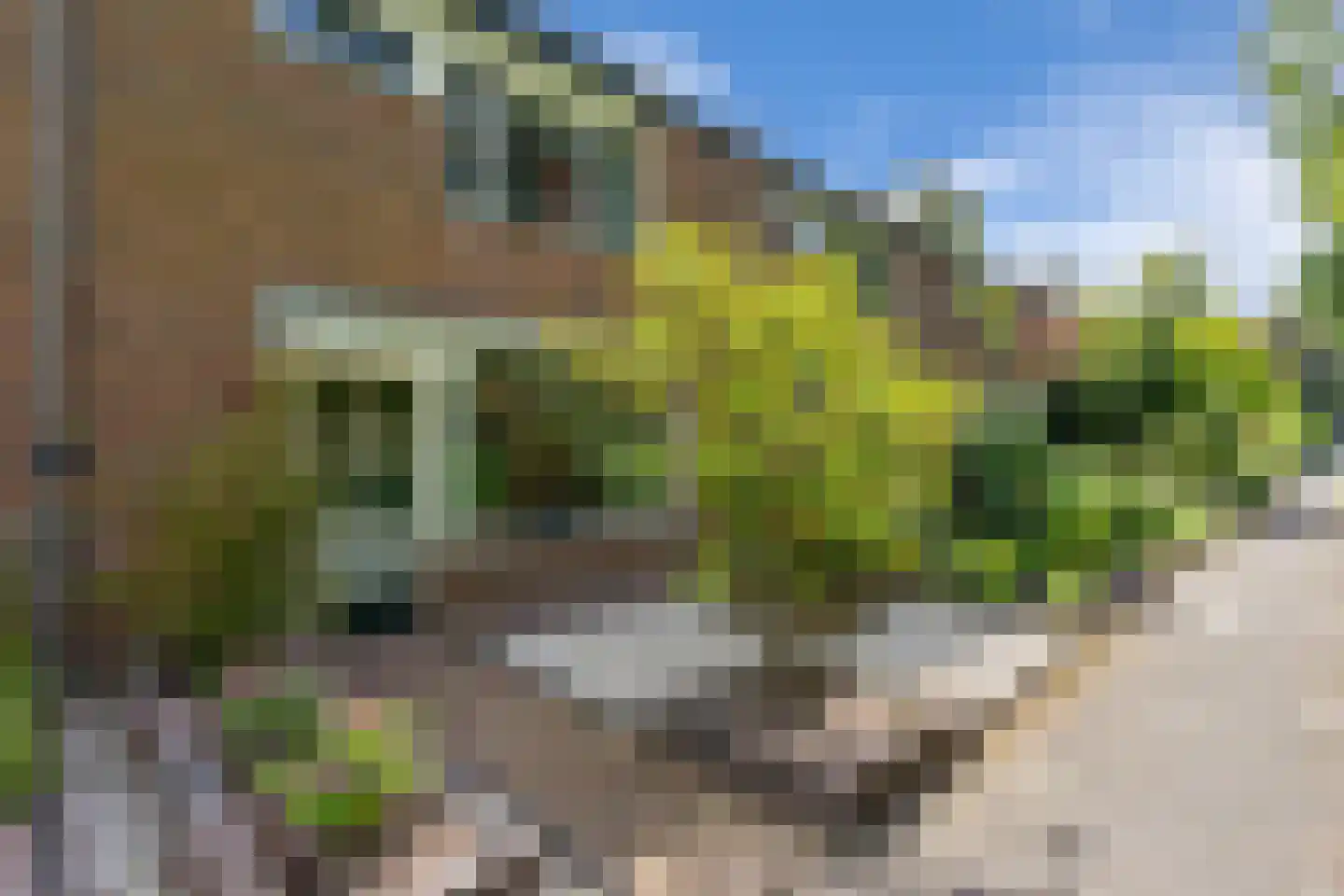 Tra 26 't Harde thumbnail 7