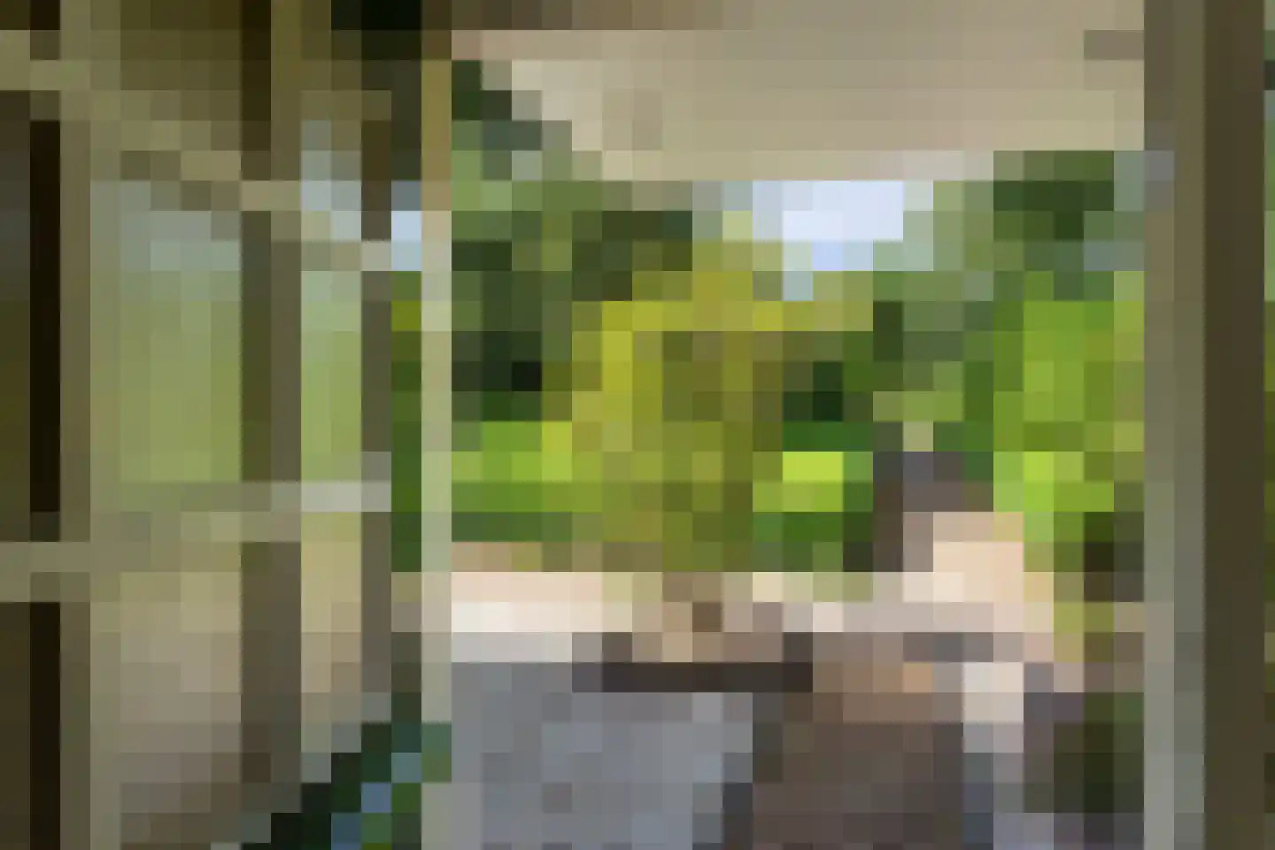 Tra 26 't Harde thumbnail 8