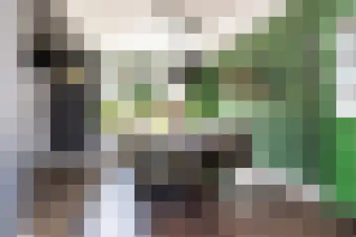 Tra 27 't Harde thumbnail 13