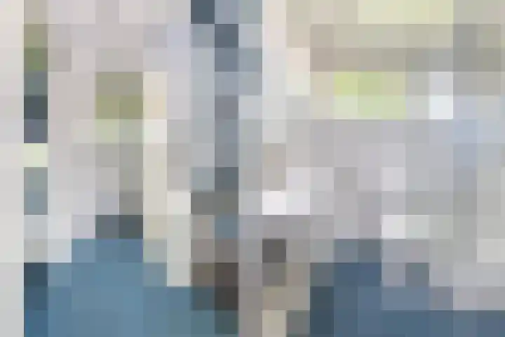 Tra 27 't Harde thumbnail 20