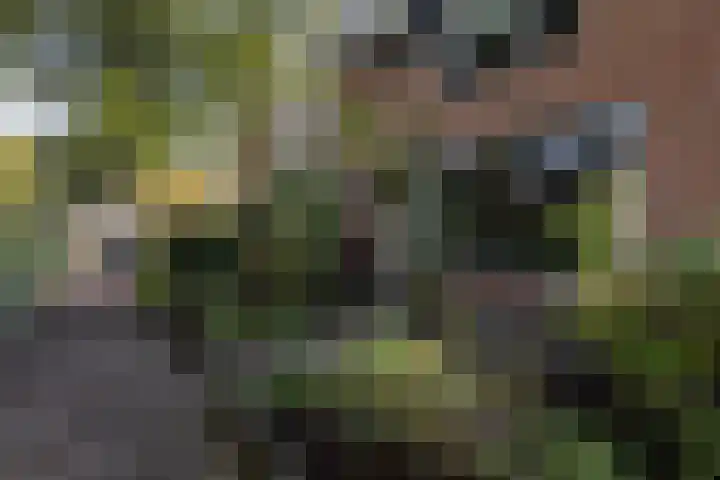 Tra 27 't Harde thumbnail 4