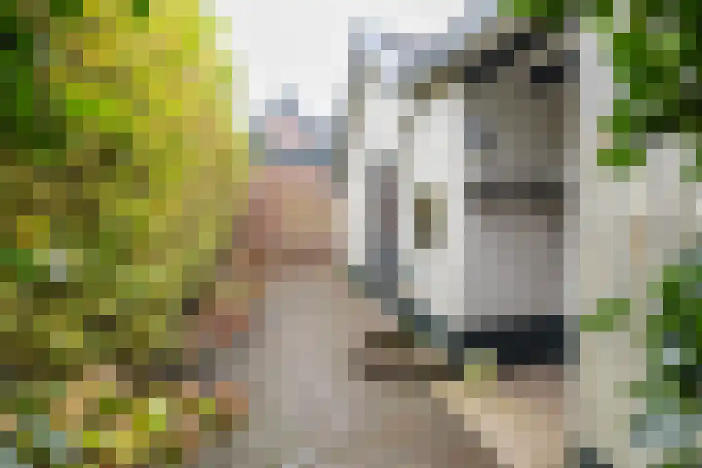 Traaij 133 Driebergen-Rijsenburg thumbnail 32