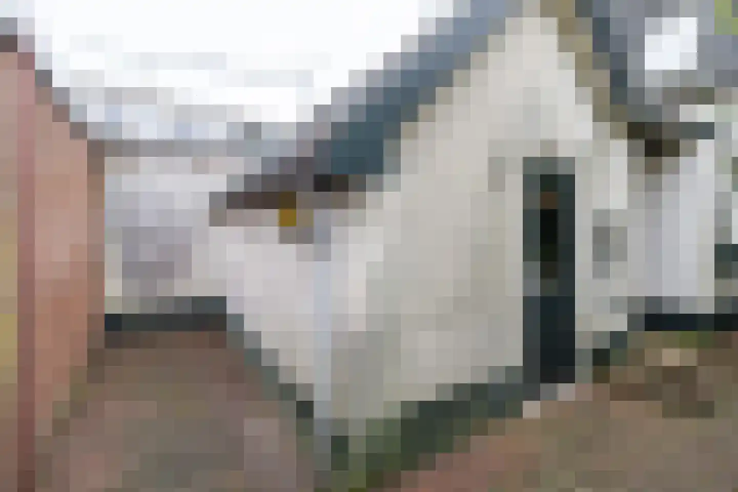 Traaij 133 Driebergen-Rijsenburg thumbnail 33