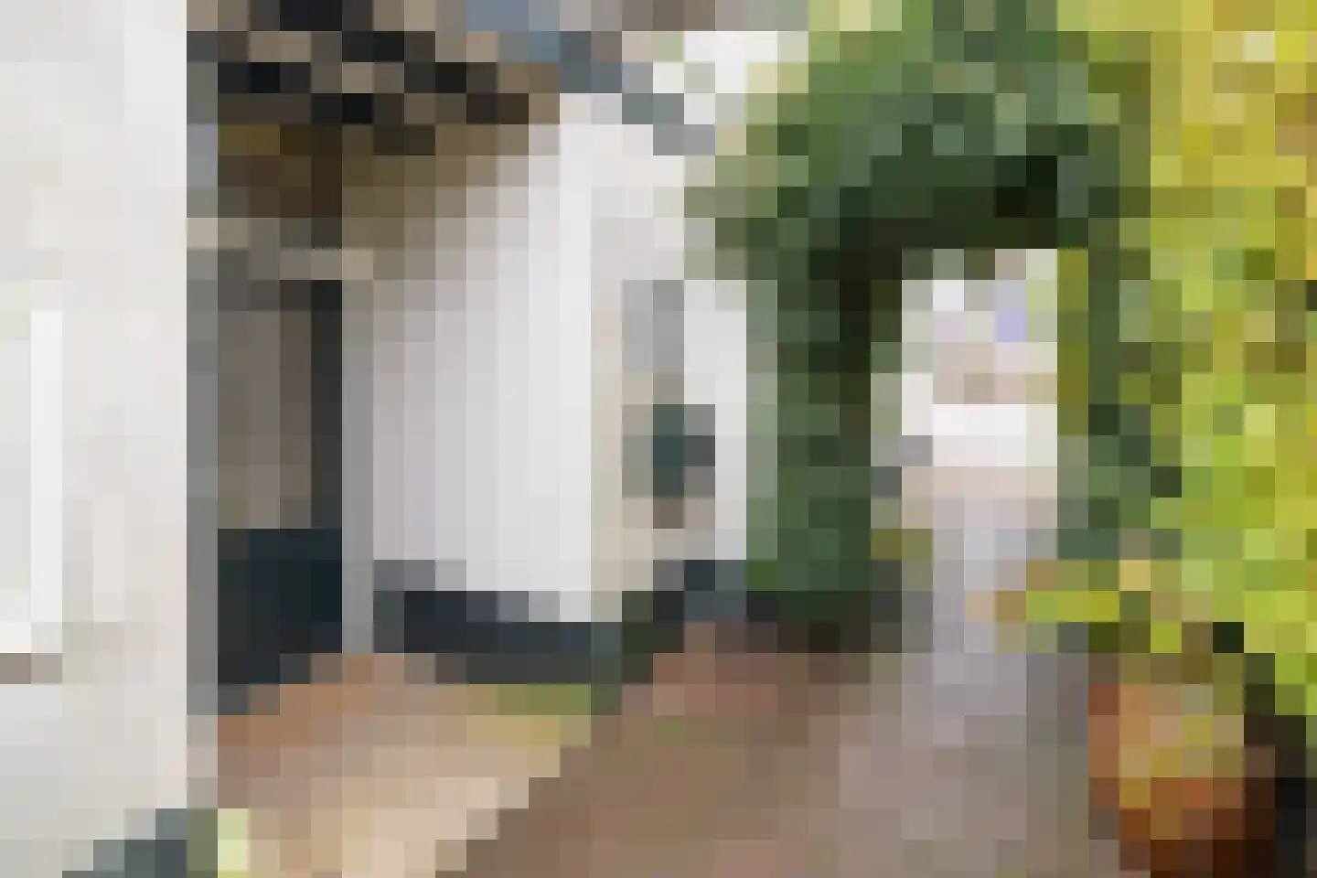 Traaij 133 Driebergen-Rijsenburg thumbnail 35