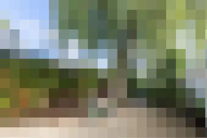 Traaij 164 Driebergen-Rijsenburg thumbnail 28