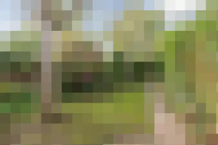 Traaij 164 Driebergen-Rijsenburg thumbnail 33