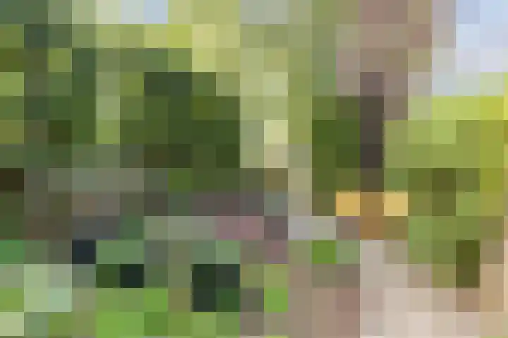 Traaij 164 Driebergen-Rijsenburg thumbnail 4