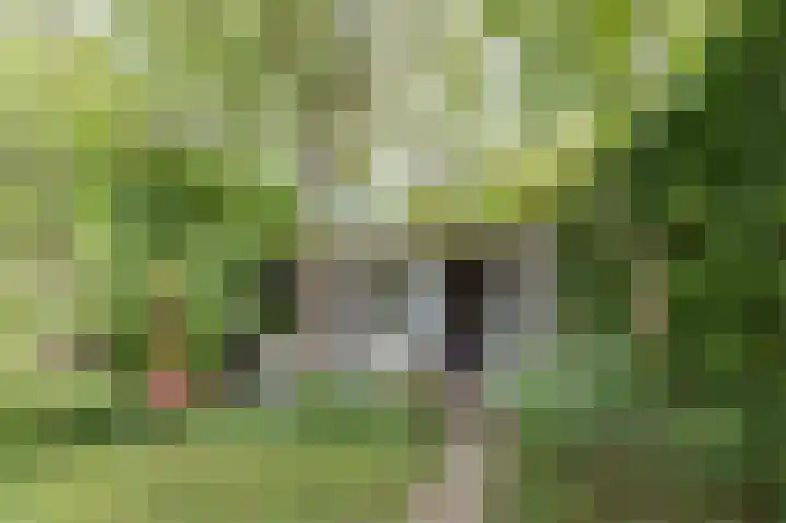 Traaij 164 Driebergen-Rijsenburg thumbnail 47