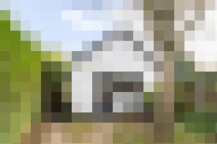 Traaij 164 Driebergen-Rijsenburg thumbnail 5