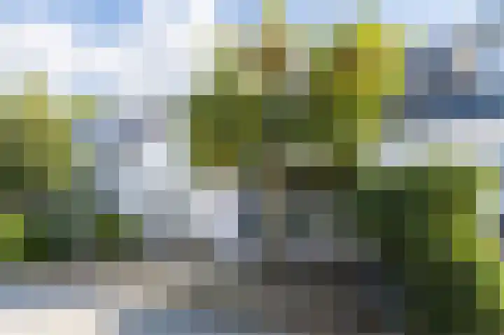Traaij 164 Driebergen-Rijsenburg thumbnail 6