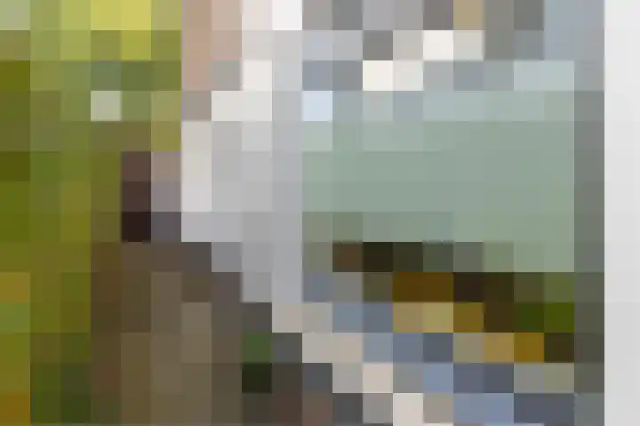 Traaij 164 Driebergen-Rijsenburg thumbnail 8