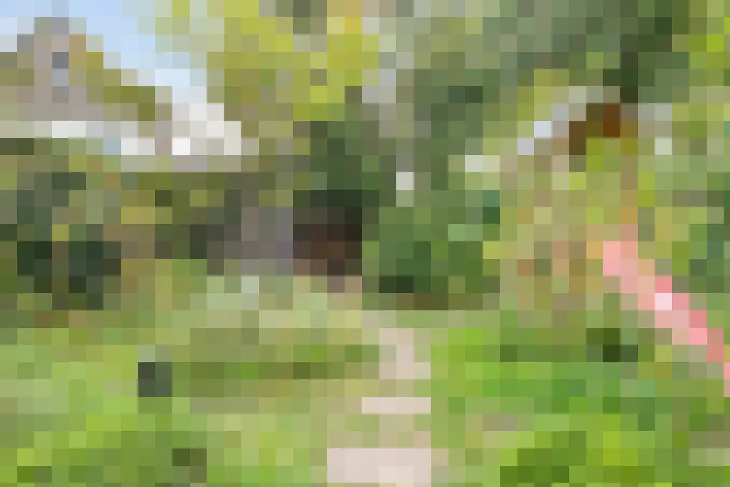 Traaij 174 a Driebergen-Rijsenburg thumbnail 34