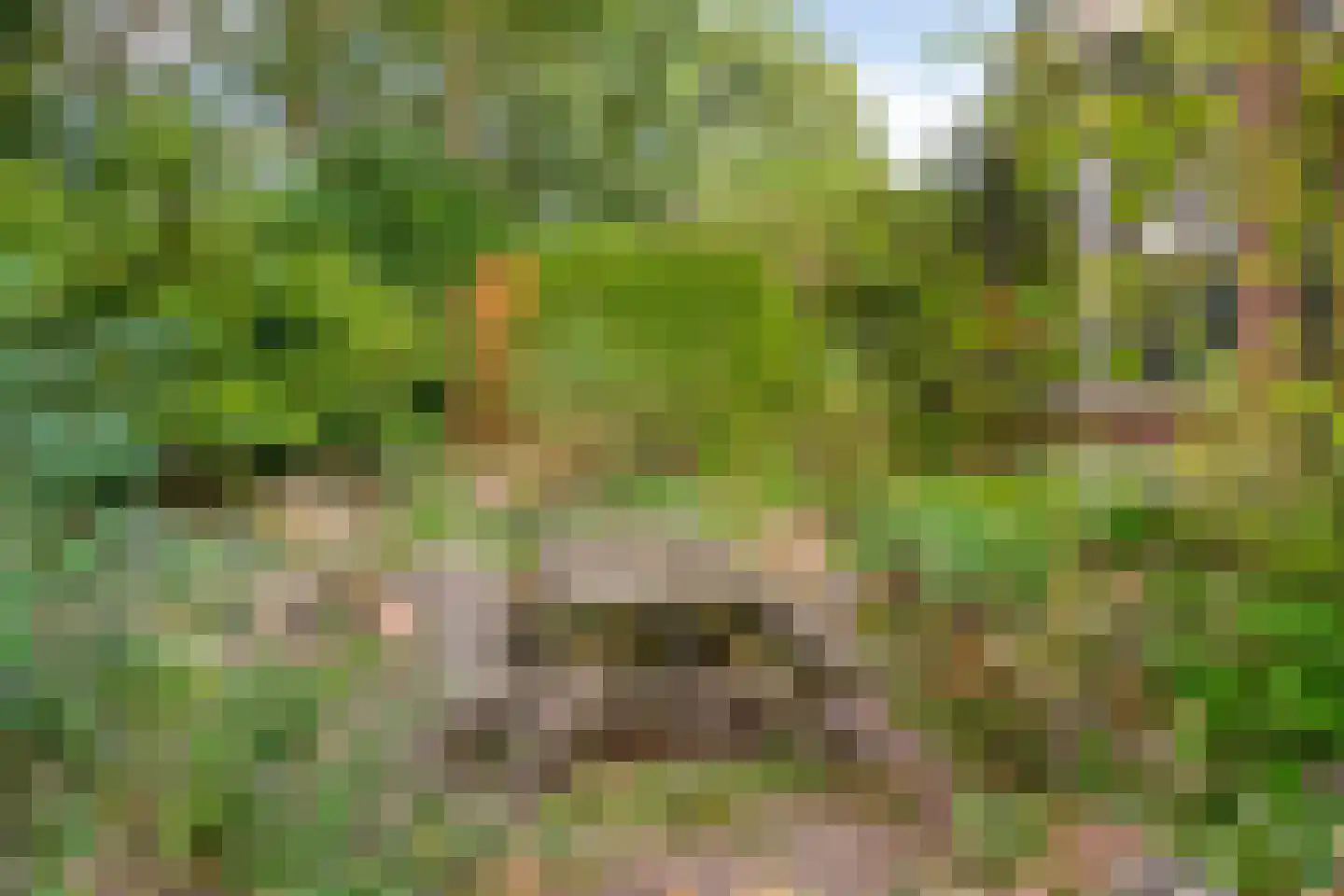 Traaij 174 a Driebergen-Rijsenburg thumbnail 5