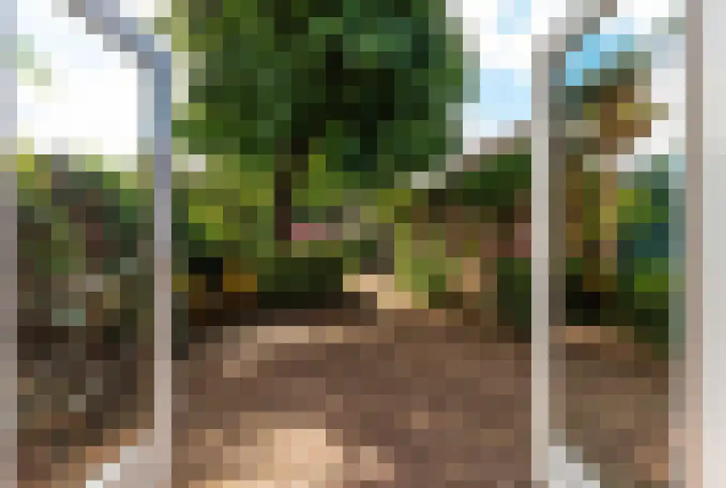 Traaij 178 Driebergen-Rijsenburg thumbnail 15