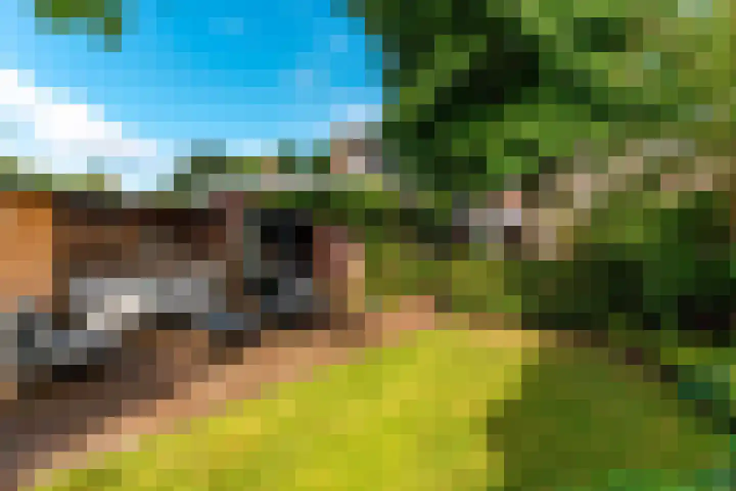 Traaij 178 Driebergen-Rijsenburg thumbnail 35
