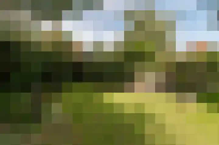 Traaij 195 a Driebergen-Rijsenburg thumbnail 32