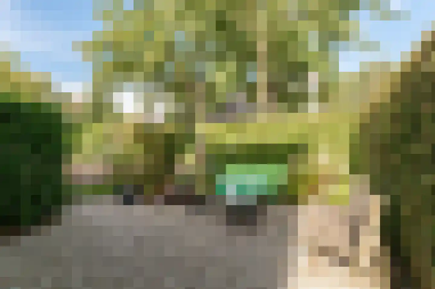 Traaij 198 Driebergen-Rijsenburg thumbnail 26