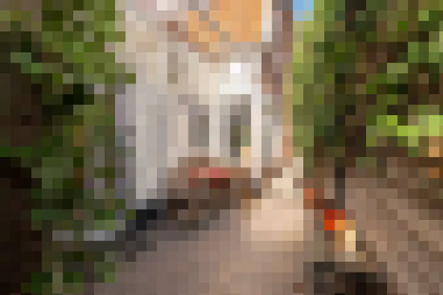 Traaij 198 Driebergen-Rijsenburg thumbnail 27