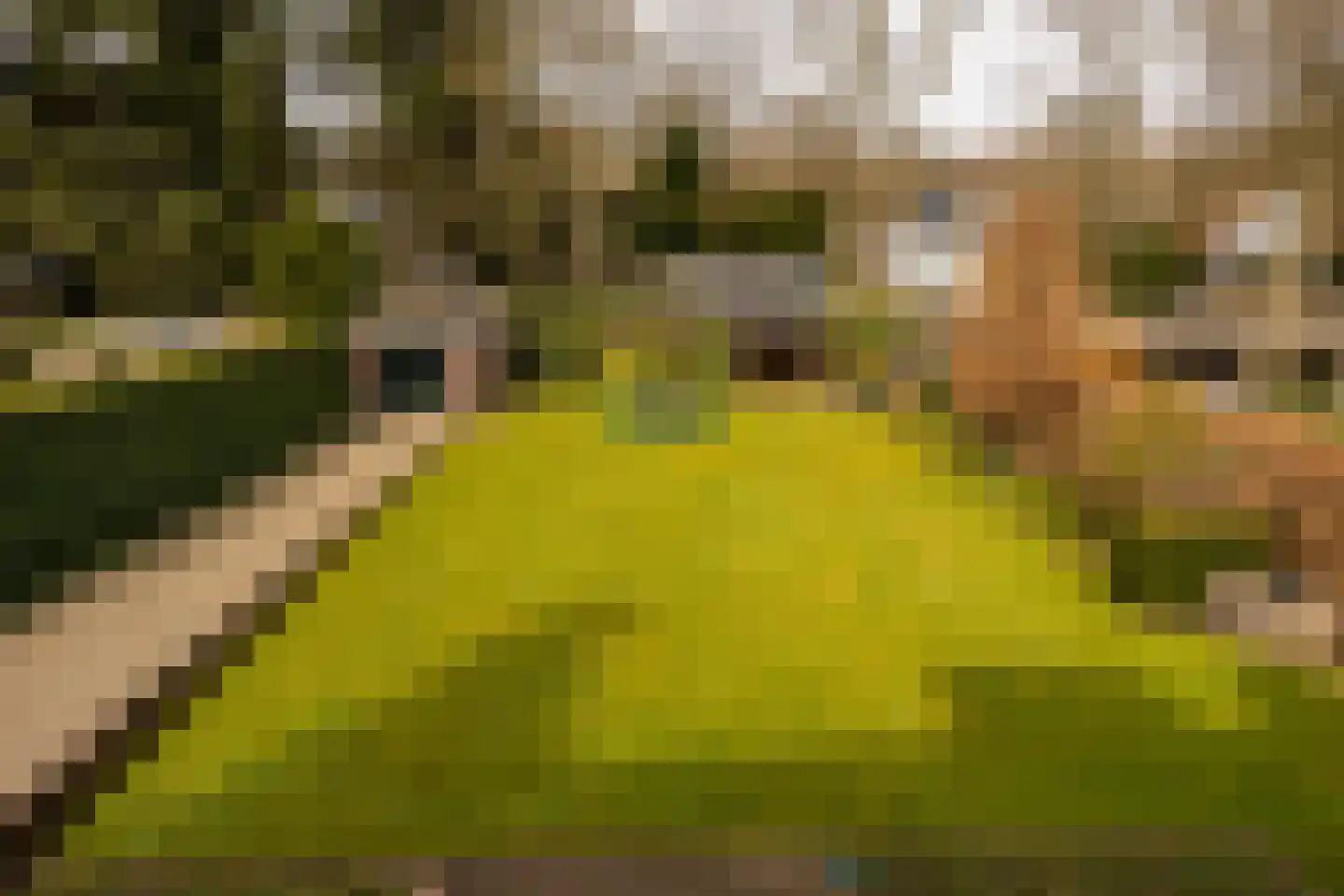 Traaij 213 Driebergen-Rijsenburg thumbnail 42