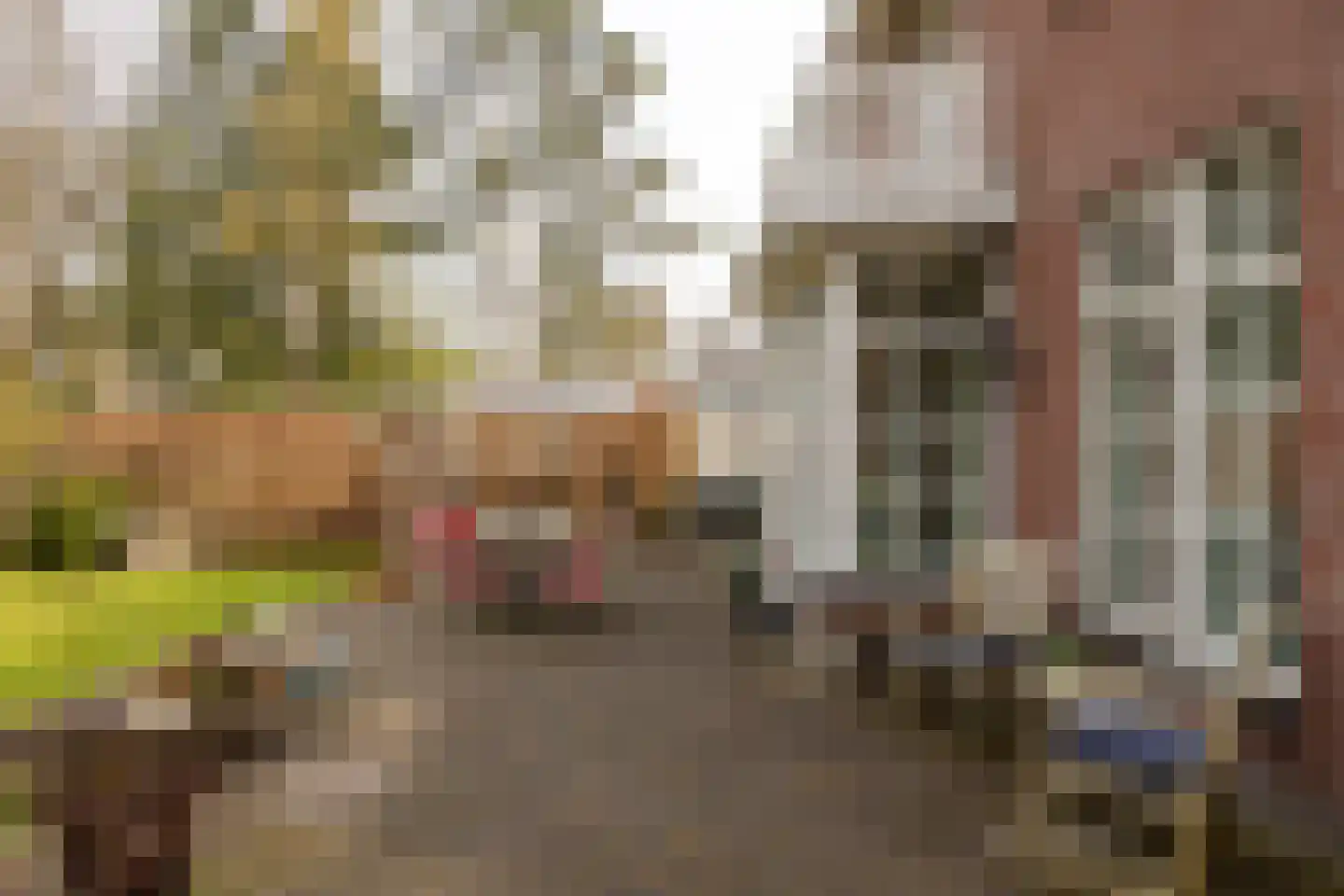 Traaij 213 Driebergen-Rijsenburg thumbnail 43