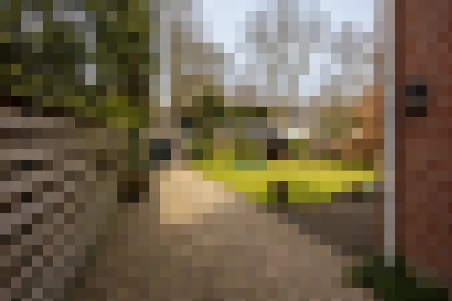 Traaij 213 Driebergen-Rijsenburg thumbnail 45