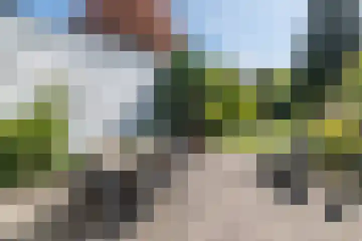 Traaij 220 Driebergen-Rijsenburg thumbnail 27