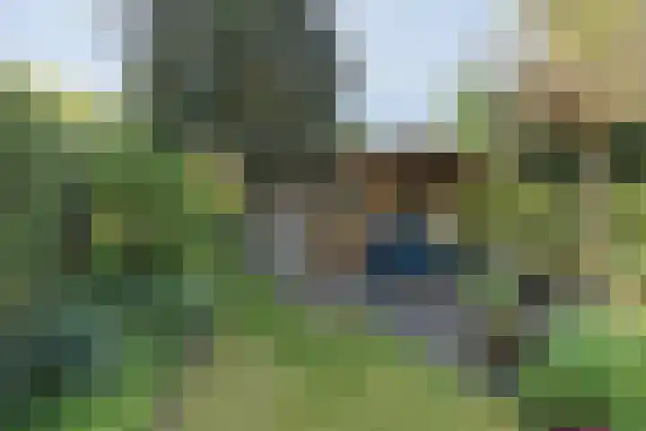 Traaij 220 Driebergen-Rijsenburg thumbnail 32