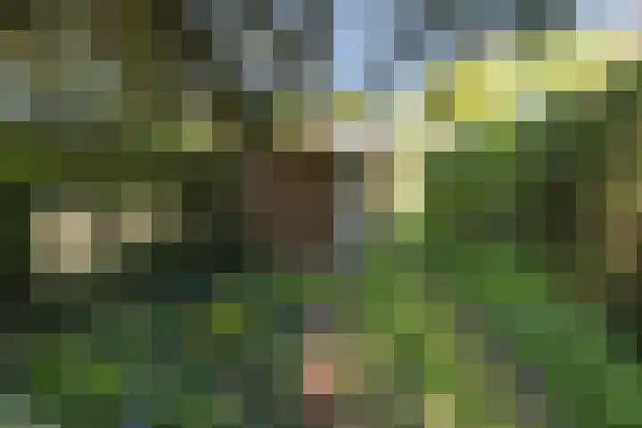 Traaij 220 Driebergen-Rijsenburg thumbnail 33
