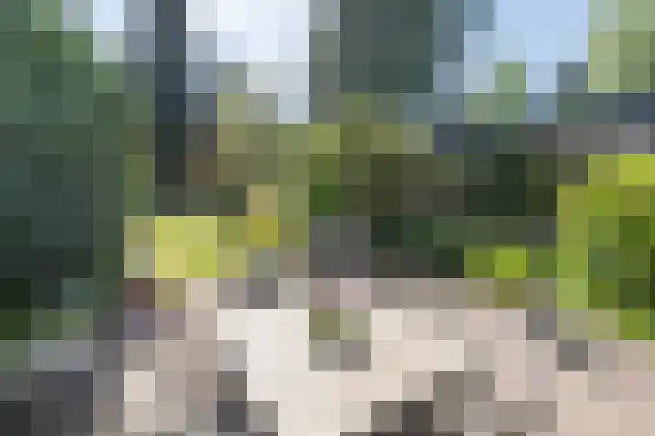 Traaij 220 Driebergen-Rijsenburg thumbnail 34