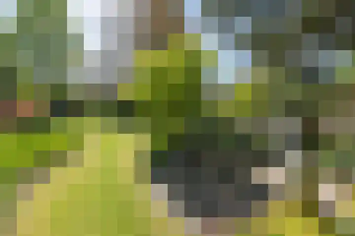 Traaij 220 Driebergen-Rijsenburg thumbnail 35