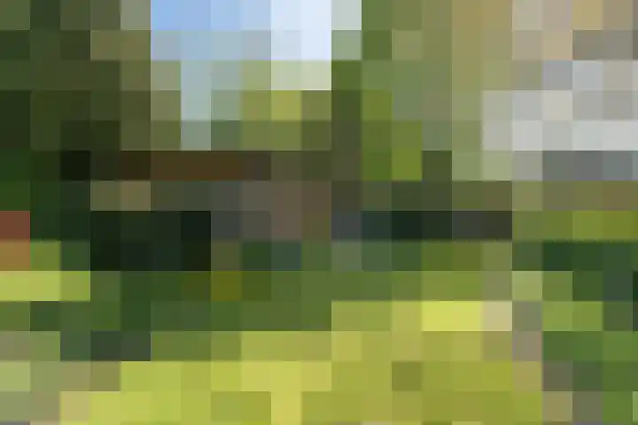 Traaij 220 Driebergen-Rijsenburg thumbnail 36