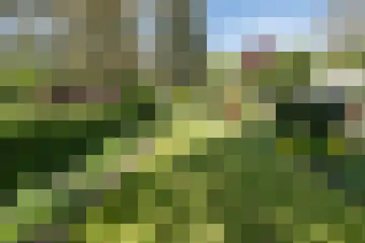 Traaij 220 Driebergen-Rijsenburg thumbnail 37