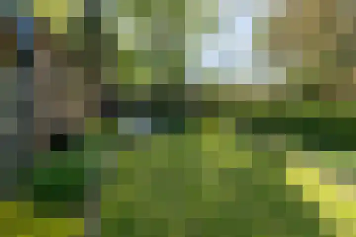 Traaij 220 Driebergen-Rijsenburg thumbnail 38
