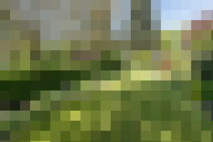 Traaij 220 Driebergen-Rijsenburg thumbnail 39