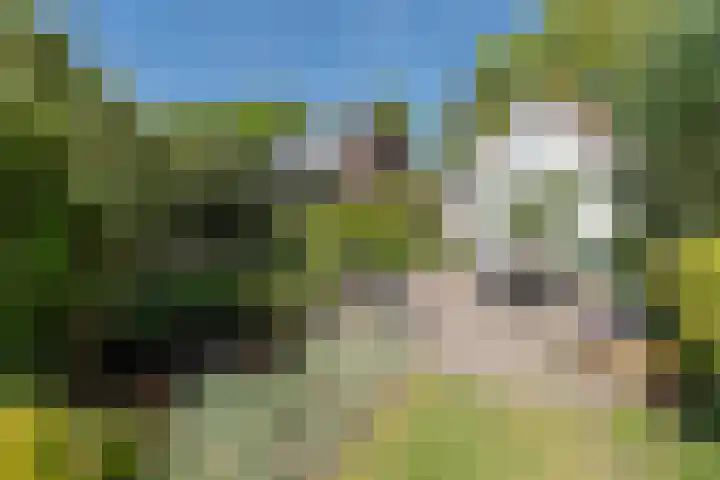 Traaij 220 Driebergen-Rijsenburg thumbnail 41