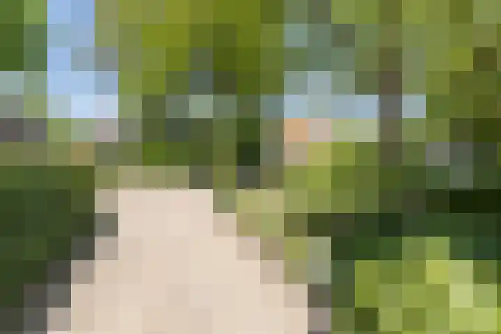 Traaij 220 Driebergen-Rijsenburg thumbnail 44