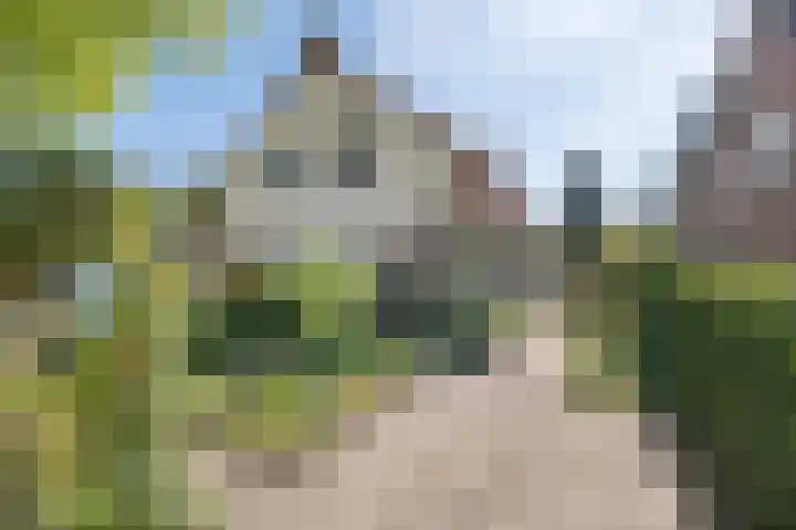 Traaij 220 Driebergen-Rijsenburg thumbnail 45