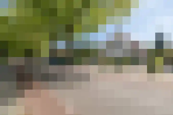 Traaij 220 Driebergen-Rijsenburg thumbnail 46